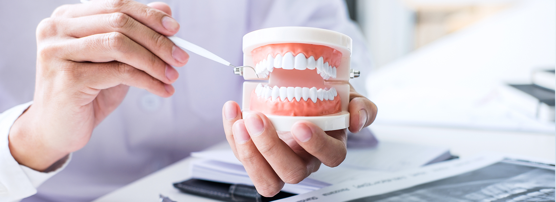 A dental professional holds a tooth model over a computer screen displaying a patient s X-ray.